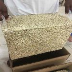Processed Cashew Nuts