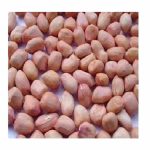 Ground Nut